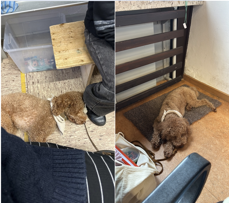 Bildschirmfoto%202026-02-22%20um%2019.05.05